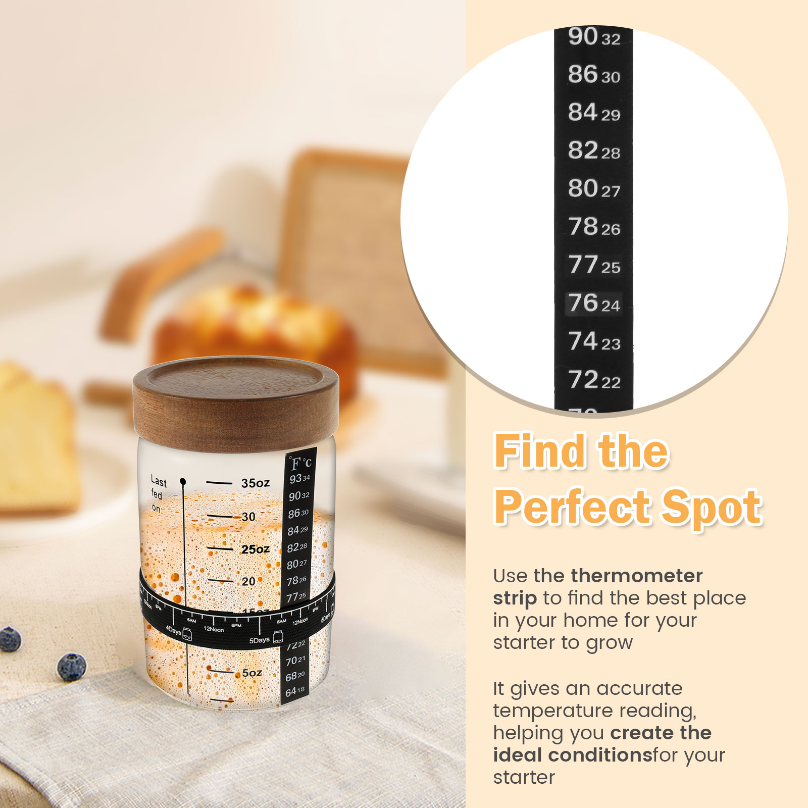 Sourdough Starter Jar Kit 1000 - Kitchen Baking Storage Containers บทวิจารณ์และราคา